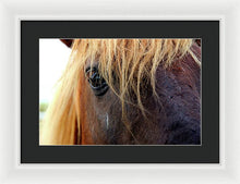 Load image into Gallery viewer, Wild Eyes Of Assateague - Framed Print