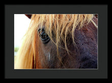 Load image into Gallery viewer, Wild Eyes Of Assateague - Framed Print
