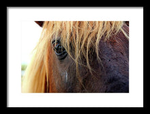Load image into Gallery viewer, Wild Eyes Of Assateague - Framed Print