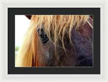 Load image into Gallery viewer, Wild Eyes Of Assateague - Framed Print