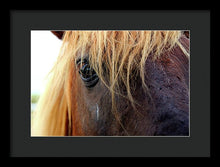 Load image into Gallery viewer, Wild Eyes Of Assateague - Framed Print