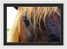 Load image into Gallery viewer, Wild Eyes Of Assateague - Framed Print