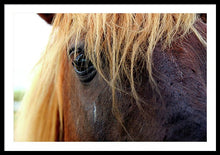 Load image into Gallery viewer, Wild Eyes Of Assateague - Framed Print