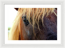 Load image into Gallery viewer, Wild Eyes Of Assateague - Framed Print