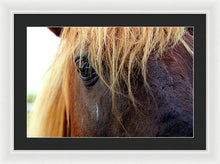 Load image into Gallery viewer, Wild Eyes Of Assateague - Framed Print