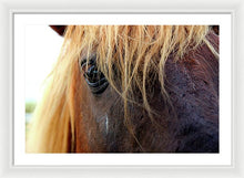 Load image into Gallery viewer, Wild Eyes Of Assateague - Framed Print