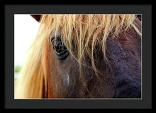 Load image into Gallery viewer, Wild Eyes Of Assateague - Framed Print